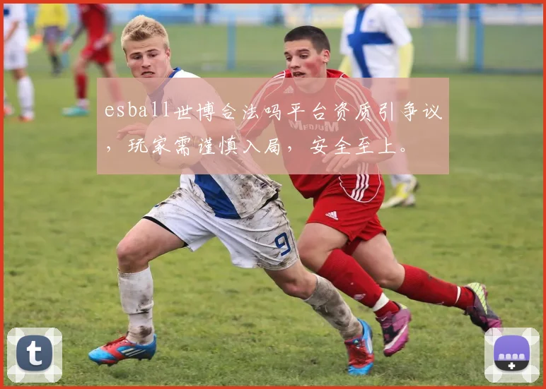 esball世博合法吗平台资质引争议，玩家需谨慎入局，安全至上。