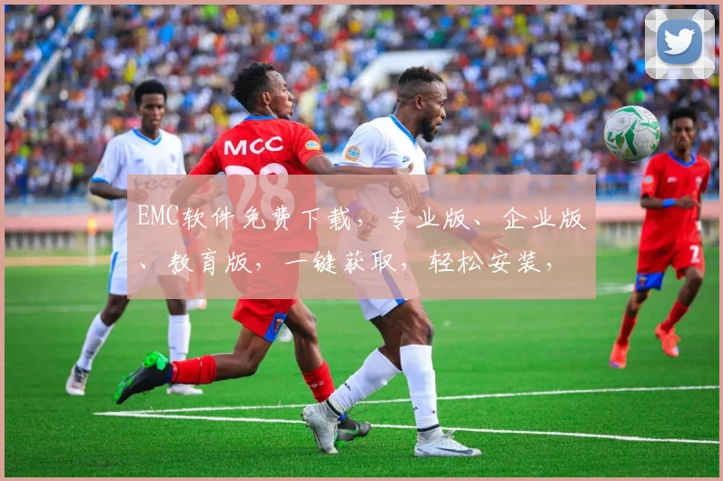 EMC软件免费下载，专业版、企业版、教育版，一键获取，轻松安装，三步搞定
