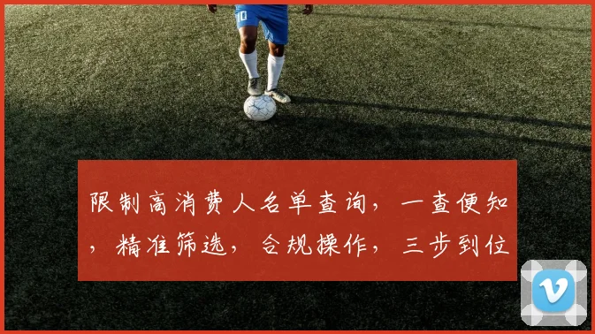 限制高消费人名单查询，一查便知，精准筛选，合规操作，三步到位，放心使用。