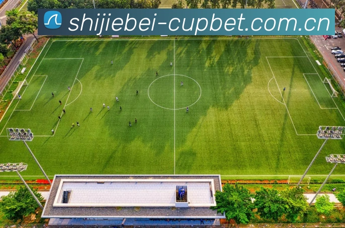 App 展示图